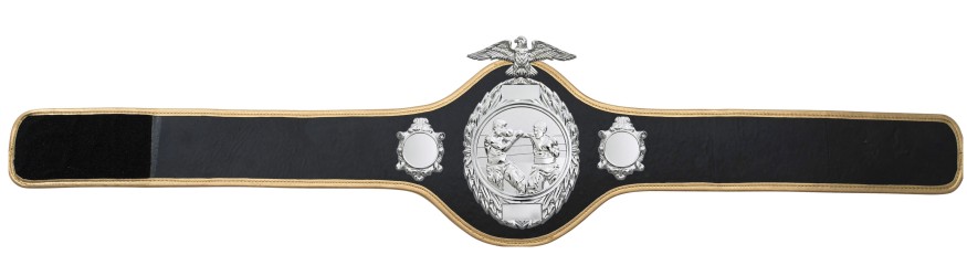 BOXING CHAMPIONSHIP BELT-PRO288/S/BOXS-10 COLOURS BOXING CHAMPIONSHIP BELT-PRO288/S/BOXS-10 COLOURS